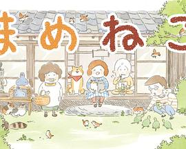 豆豆猫第12集(大结局)