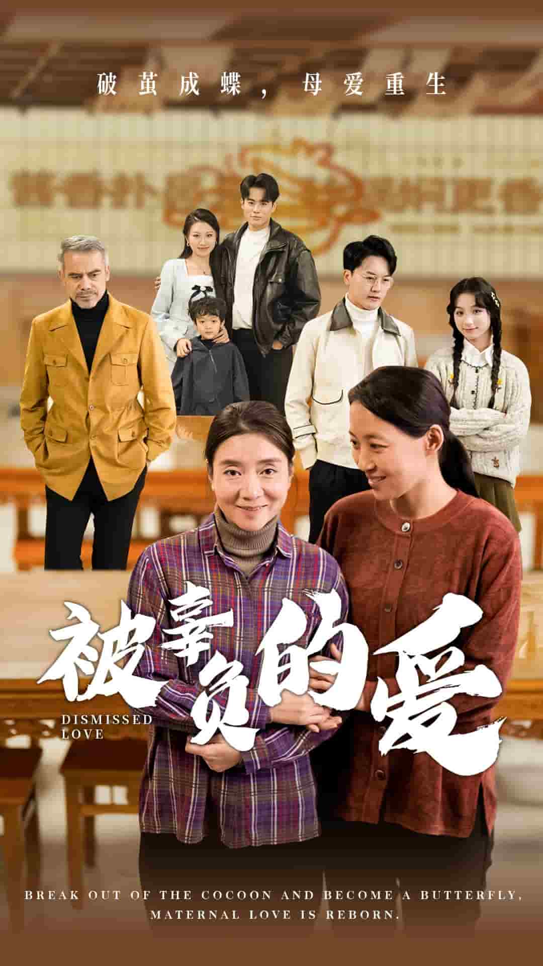 被辜负的爱第35集