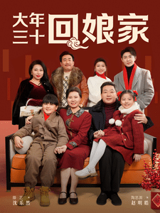 大年三十回娘家第30集(大结局)