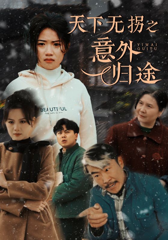天下无拐之意外归途第47集