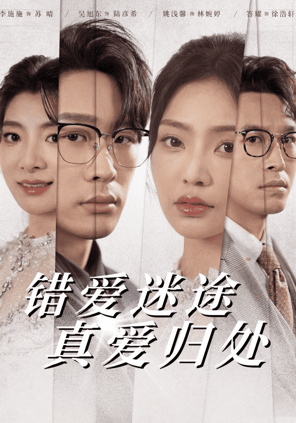 错爱迷途真爱归处第33集