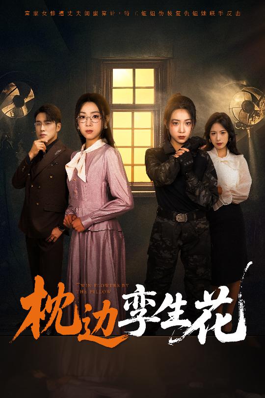 枕边孪生花第1集