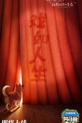 向往的生活第八季第20251026期