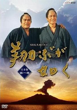 宛如飞翔第28集