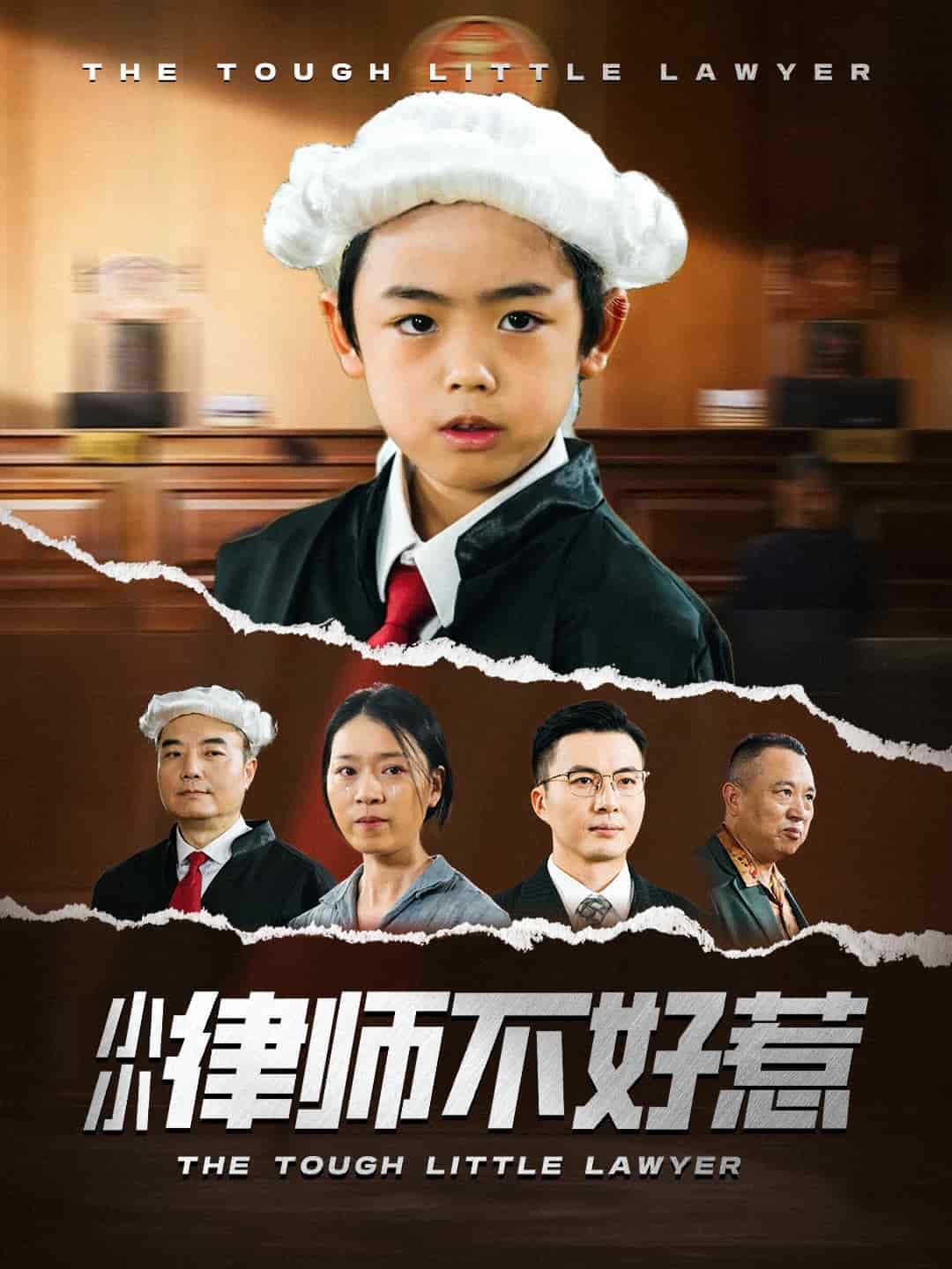 小小律师不好惹第46集