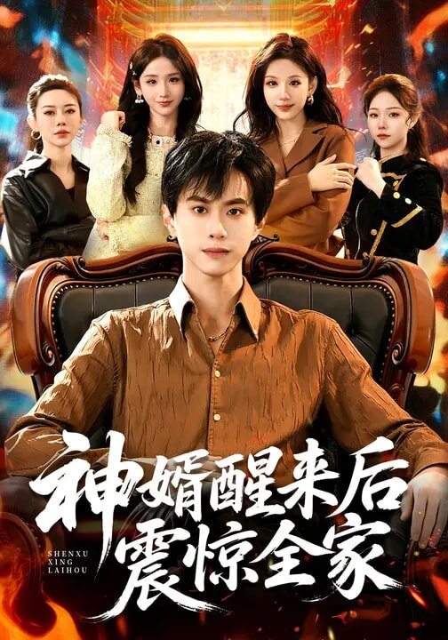 神婿醒来后震惊全家(全集)